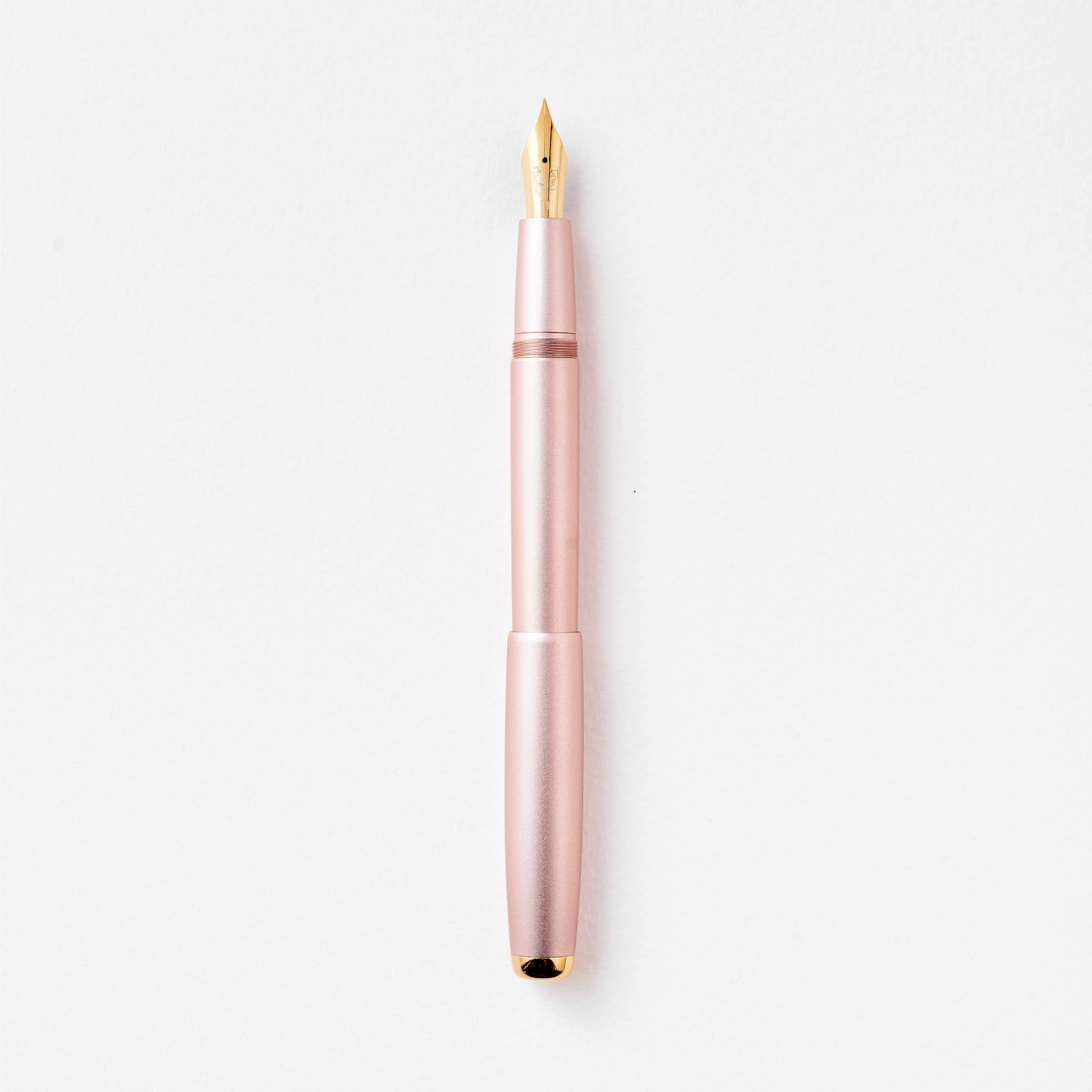 The Studio vulpen