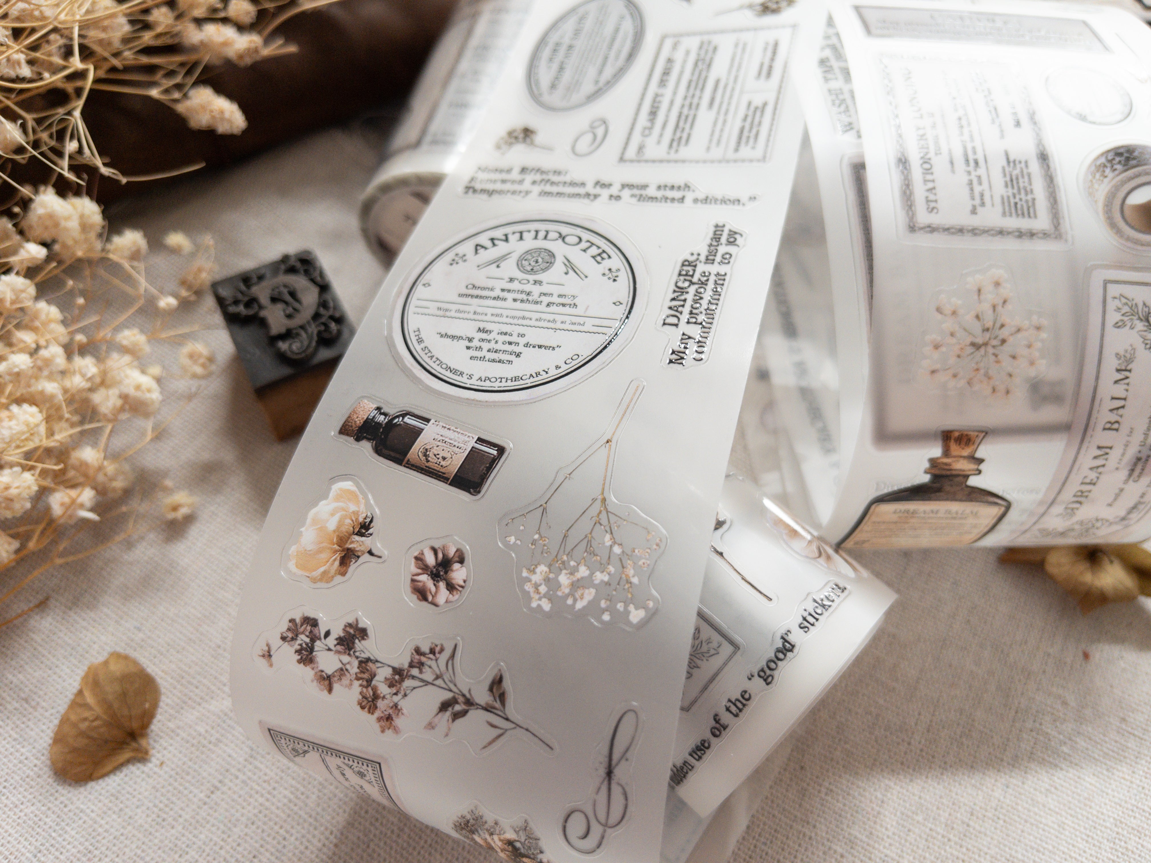 Ruban PET prédécoupé : The Stationer's Apothecary